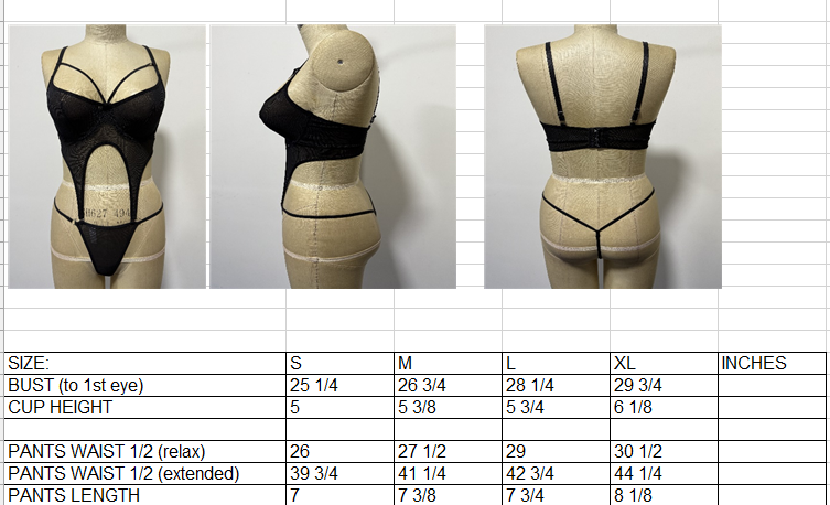 Ladies Blk Sexy Bustier with Garters & Matching Panty