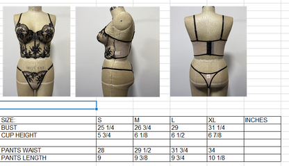 Ladies Sexy Nude/ Black Embroidery Sheer Corset w/ Matching Panty