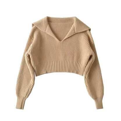 Spring Autumn Four-Color Loose Large Collared All Matching Sweater Women Loose Cropped Sweater Internet Celebrity Sweater Top