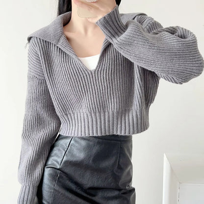 Spring Autumn Four-Color Loose Large Collared All Matching Sweater Women Loose Cropped Sweater Internet Celebrity Sweater Top